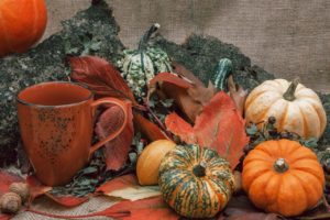 pumpkin, harvest, leaves-6682940.jpg